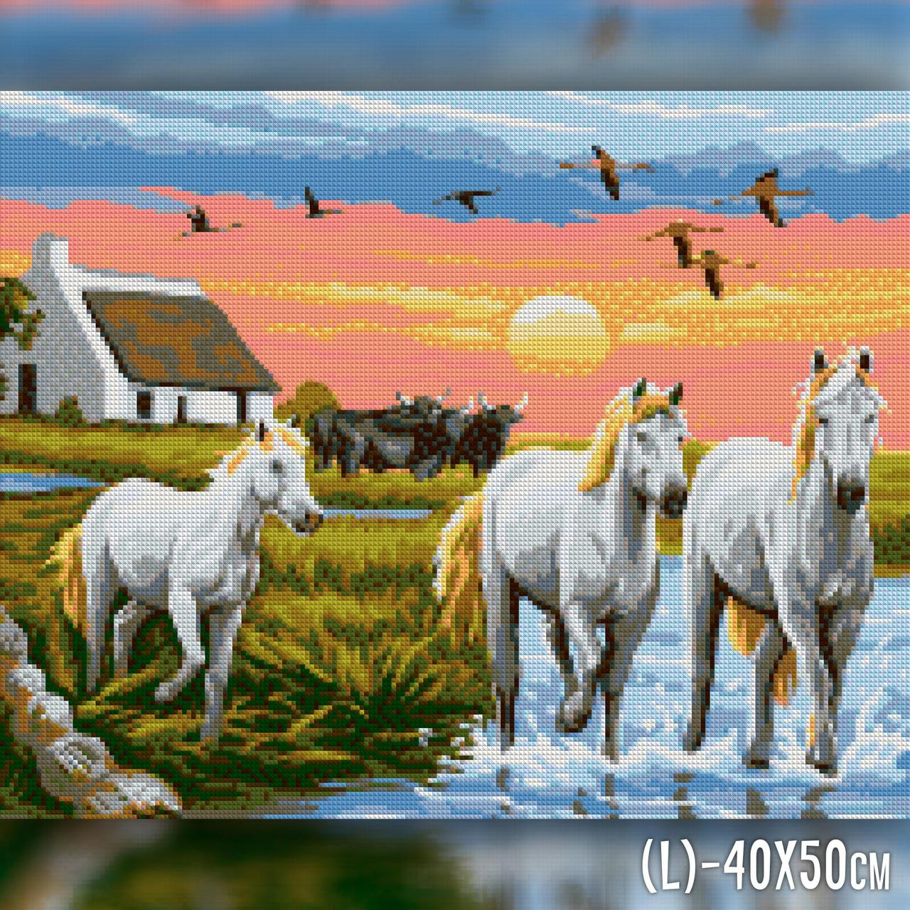 Картина по номерам «Пара лошадей» см в коробке купить в интернет-магазине Miramida
