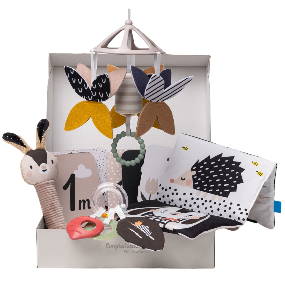 Подарочный набор игрушек для новорожденного 