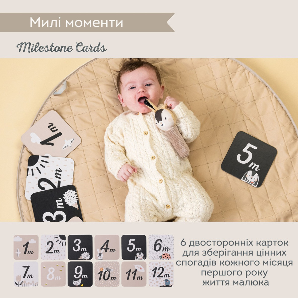 Подарочный набор игрушек для новорожденного 