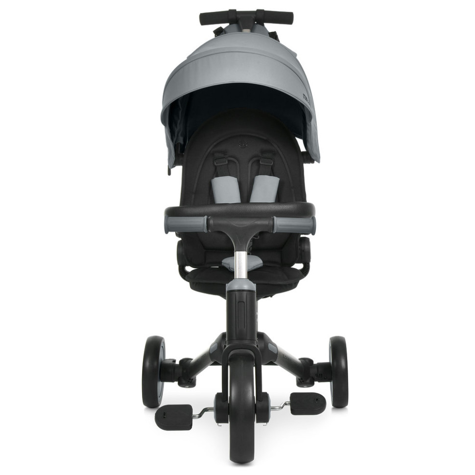 Дитячий триколісний велосипед TRIGO El Camino ME 1226 Frost Gray, до 25 кг