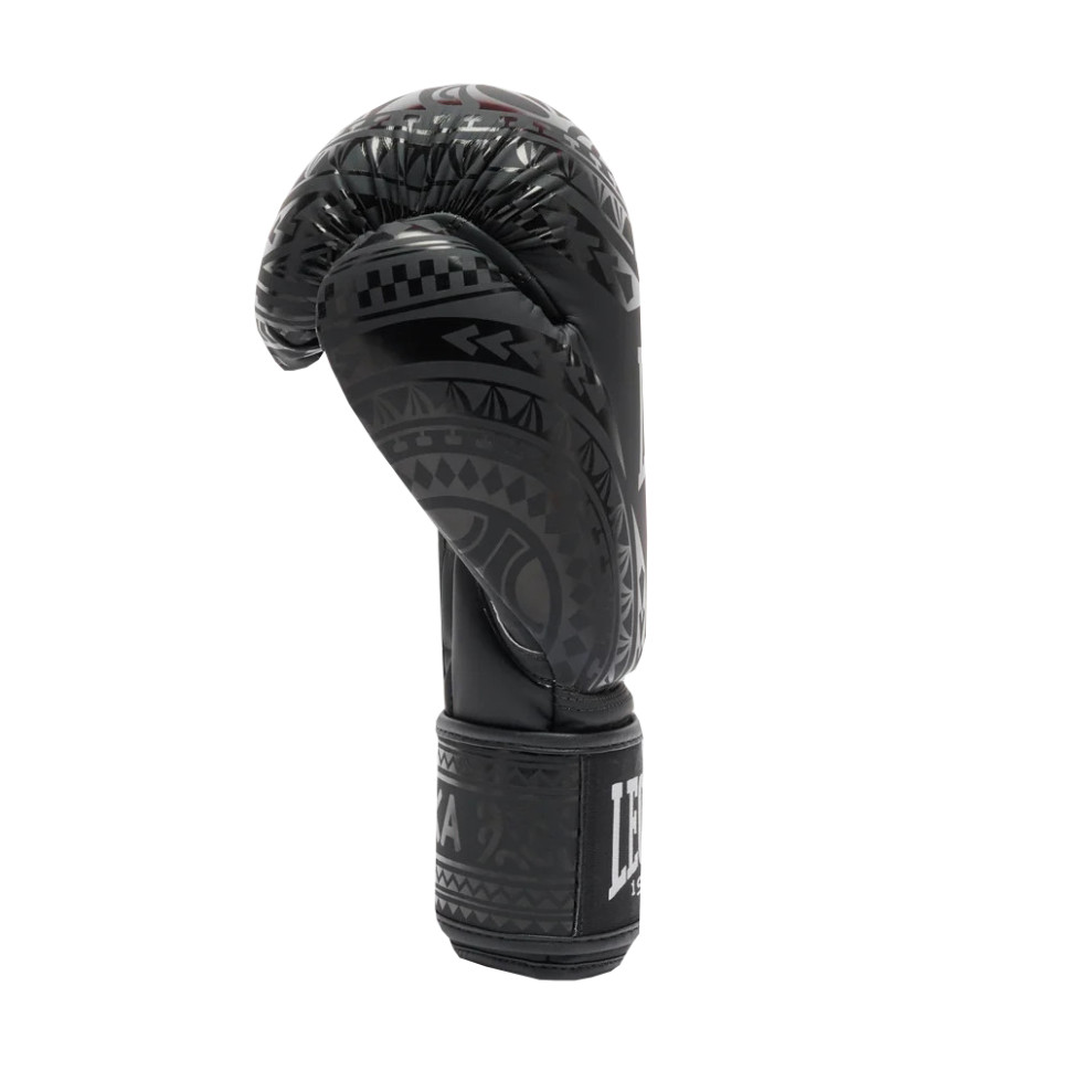 Боксерські рукавиці GN329 HAKA Leone GN329_Black_10oz, Black 10 унцій