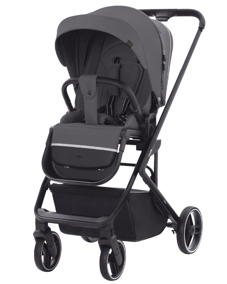 Коляска детская прогулочная CARRELLO Alfa CRL-5508 Falcon Grey