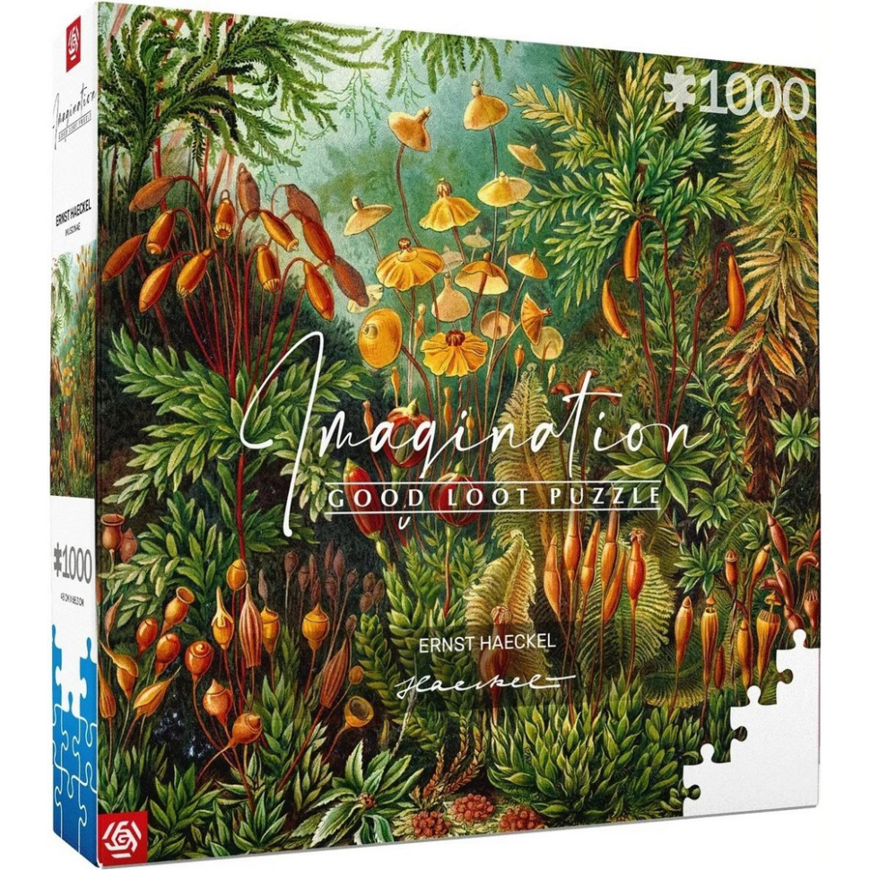 Пазл класичний Imagination: Ernst Haeckel Muscinae Puzzles GoodLoot 5908305239642, 1000 елементів