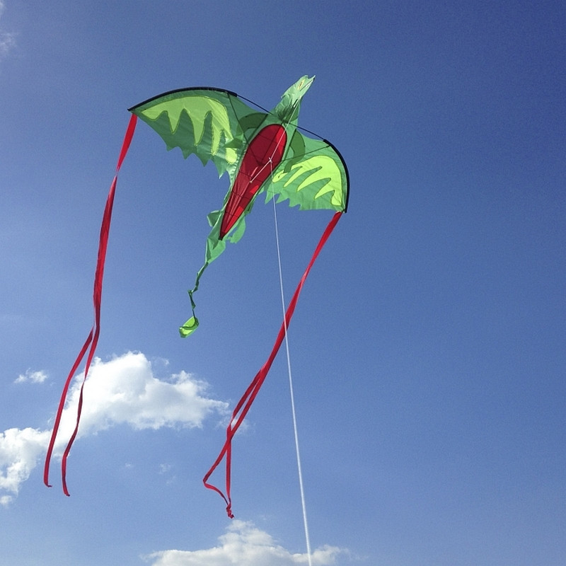 Воздушный змей 