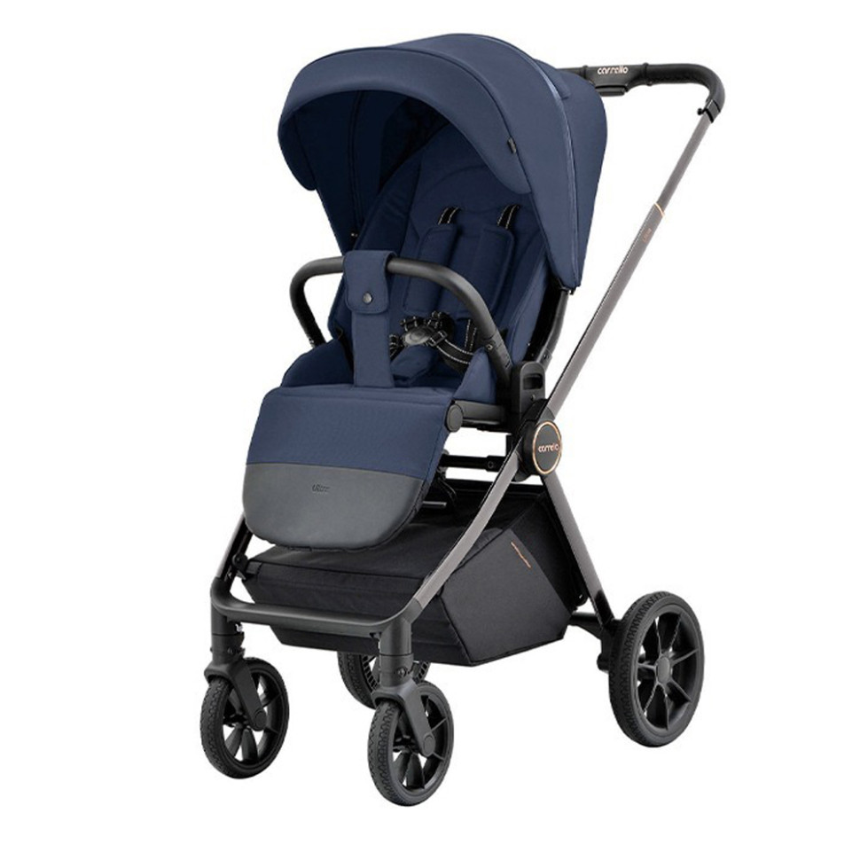 Коляска универсальная 2 в 1 Ultra CARRELLO CRL-6525 Morning Blue 202