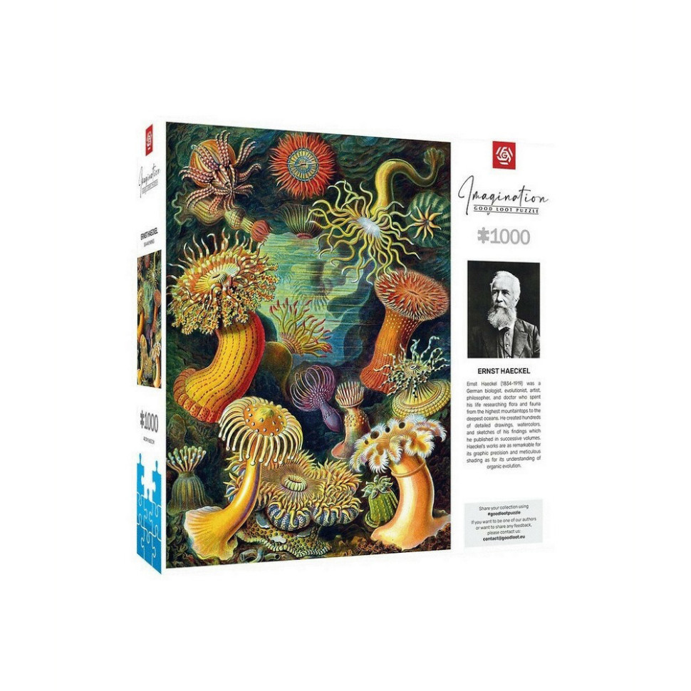 Пазл классический Imagination: Ernst Haeckel: Sea Anemones GoodLoot 5908305244943, 1000 элементов