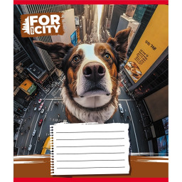 Тетрадь ученическая "Собака в городе" Leader 024-560077L-5 в линию, 24 листа 