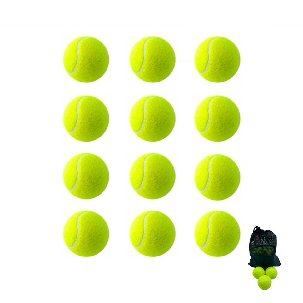 Набір м'ячів для великого тенісу SWDN Tennis Ball Newt NE-TT-12 в чохлі 12 штук