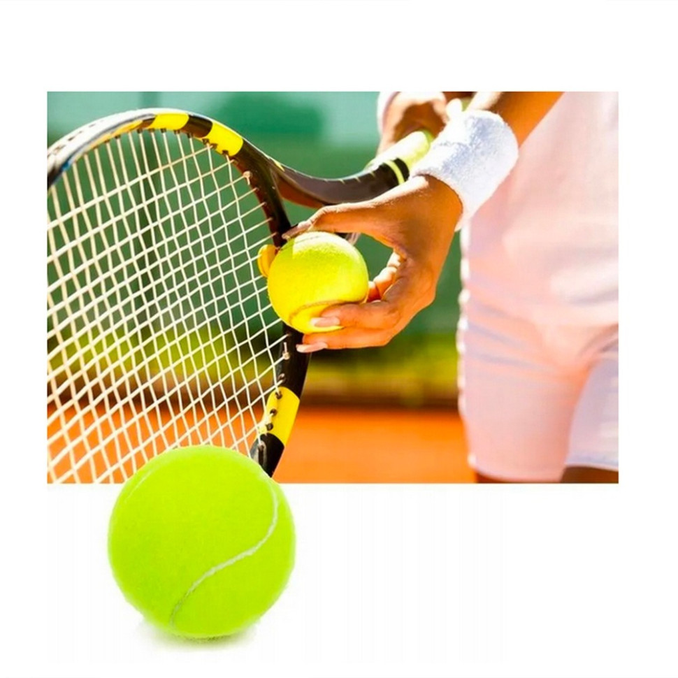 Набір м'ячів для великого тенісу SWDN Tennis Ball Newt NE-TT-12 в чохлі 12 штук