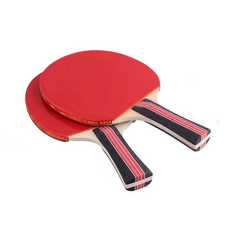 Набор ракеток для настольного тенниса Extreme Gemini Sport TT2023