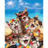 Картина за номерами. Rainbow Art "Веселі кішки" GX35795-RA 