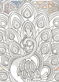 Живопись по контуру. Дзен Антистресс раскраска Идейка "Грациозный павлин" (палитра янтарь) 18х25 см DZ029