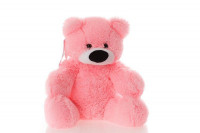 Плюшевий ведмідь Бублик 45 см рожевий Бублик43см №0, Б1-8 троянд