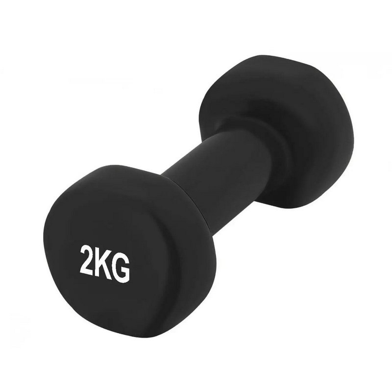 Гантели виниловые PowerPlay PP_4121_2*2kg 2 по 2 кг, Черные