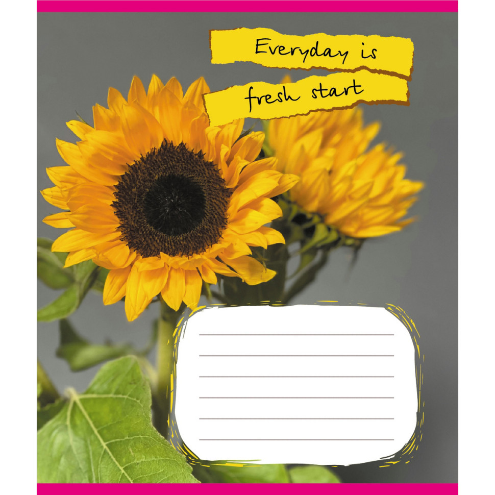 Тетрадь ученическая 