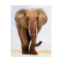 Алмазная мозаика Strateg FA40162 "Величественный слон" 40х50 см