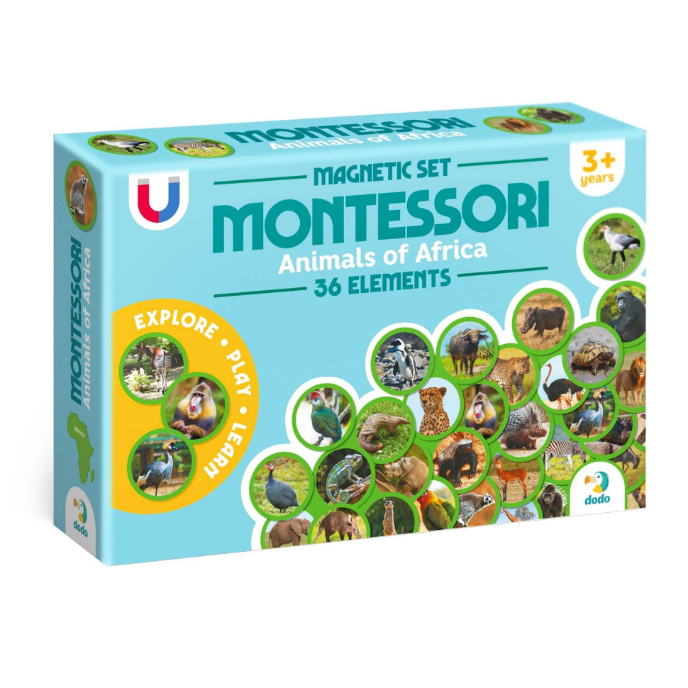 Дитячий магнітний набір Монтесорі 