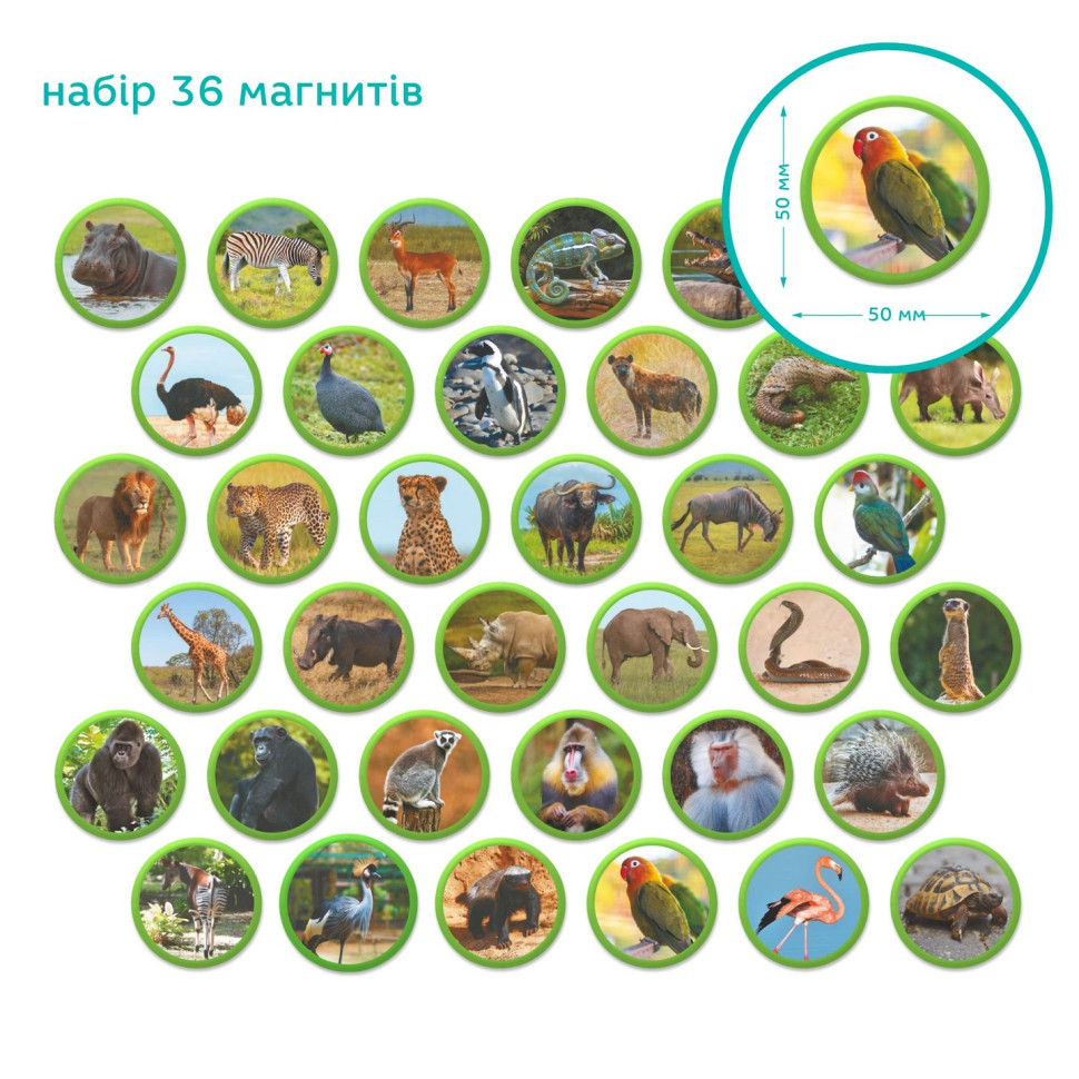 Дитячий магнітний набір Монтесорі 