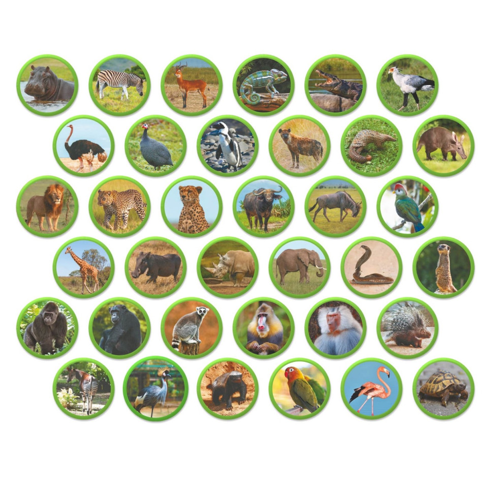 Дитячий магнітний набір Монтесорі 