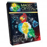 Детский набор для проведения опытов "MAGIC CRYSTAL" Danko Toys ОМС-01