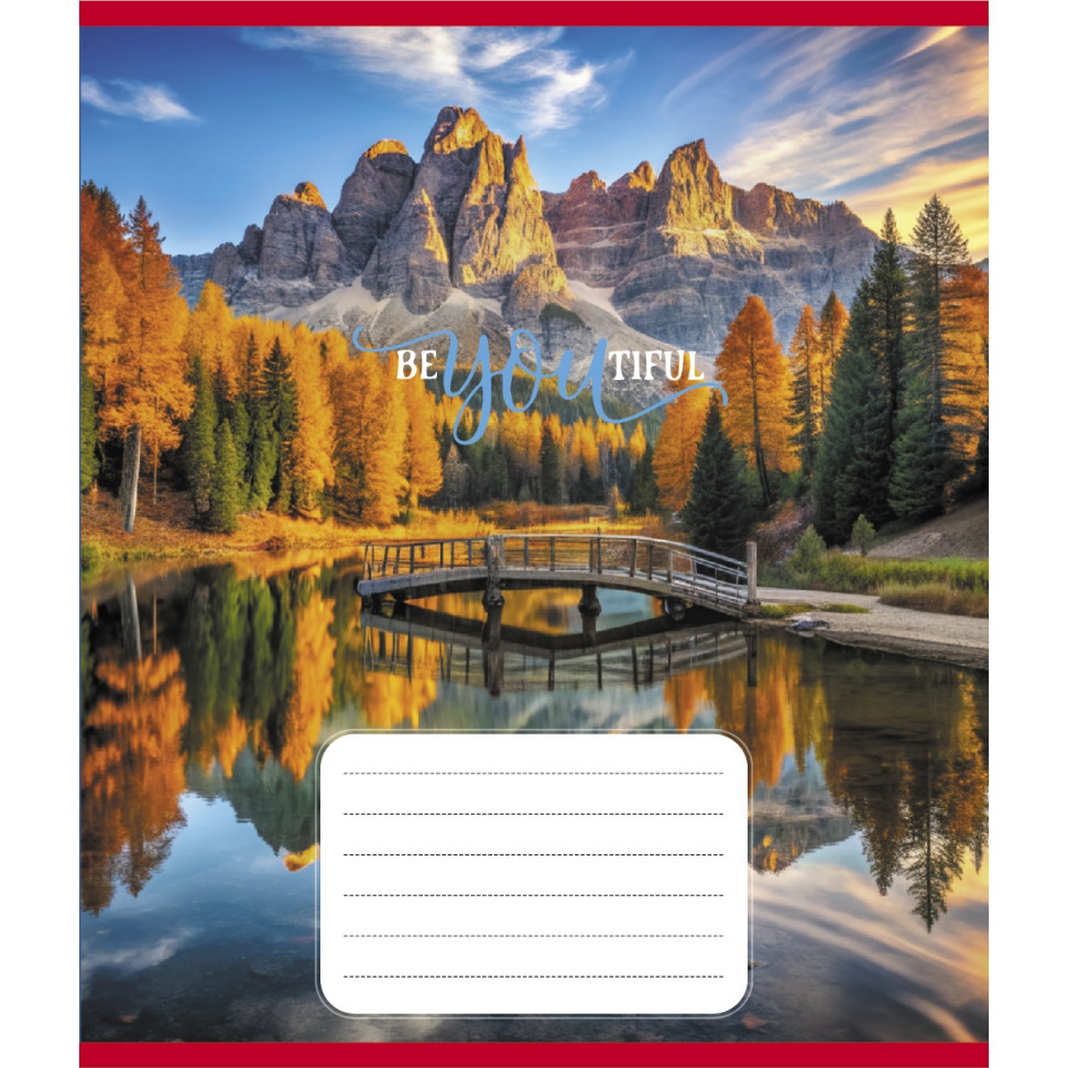 Тетрадь ученическая 