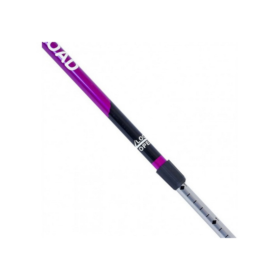 Палиця для скандинавської ходьби SKY ROAD EasyFit EF-2471-V, фіолетова
