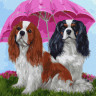 Картина по номерам Rainbow Art "Собачки под зонтом" GX27763-RA 