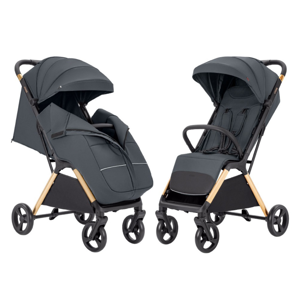 Детская прогулочная коляска Cross Carrello CRL-5523 Eagle Grey 
