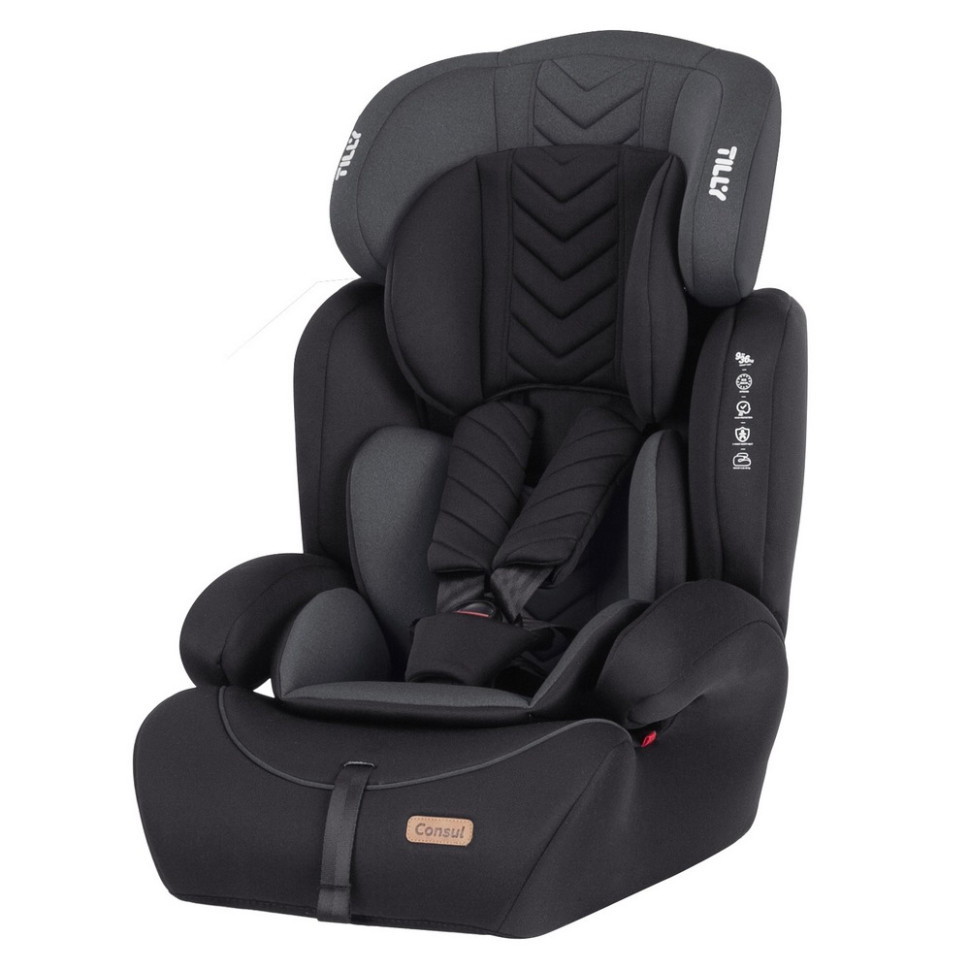 Автокресло Consul BabyTilly T-531/4 Dark Grey, группа 1/2/3, 9-36 кг