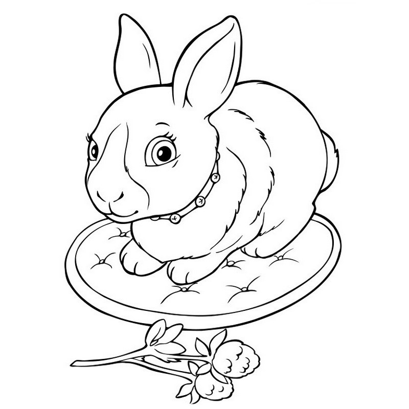 Велика книга розмальовок 