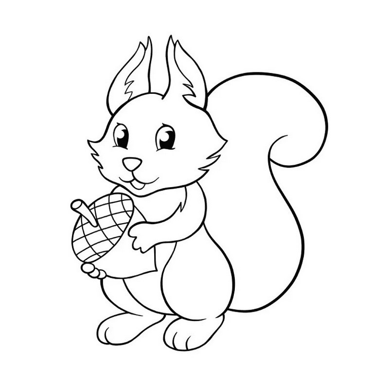 Велика книга розмальовок 