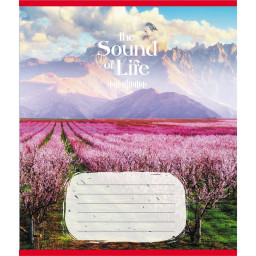 Тетрадь ученическая "Музыка жизни" Leader 036-580266L-3 в линию, 36 листов 