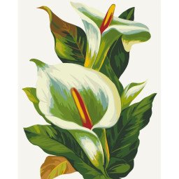 Картина по номерам "Белые каллы" Art Craft 13128-AC 40х50 см