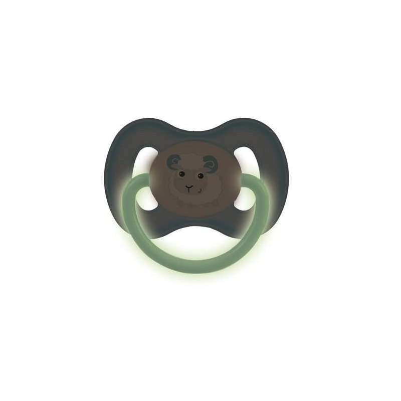 Детская силиконовая пустышка Bunny & Company Canpol babies 23/269_blu светится в темноте