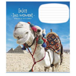 Тетрадь ученическая "Enjoy this moment" Школярик 012-2896L-1 в линию, 12 листов