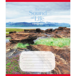 Тетрадь ученическая "Музыка жизни" Leader 036-580266L-5 в линию, 36 листов 