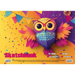 Альбом для рисования Сова Jumbi KT13022502 пружина 30 листов Альбом для рисования Сова Jumbi KT13022502 пружина 30 листов