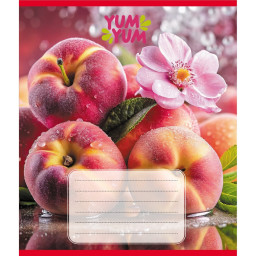 Тетрадь ученическая "Фрукты" Leader 036-580143L-1 в линию, 36 листов 