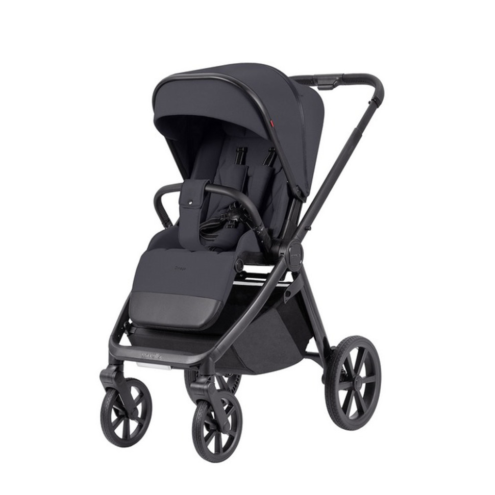 Коляска универсальная 2 в 1 Omega CARRELLO CRL-6540/1 Meteor Grey