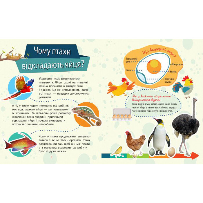 Навчальна книжка Чомусики 
