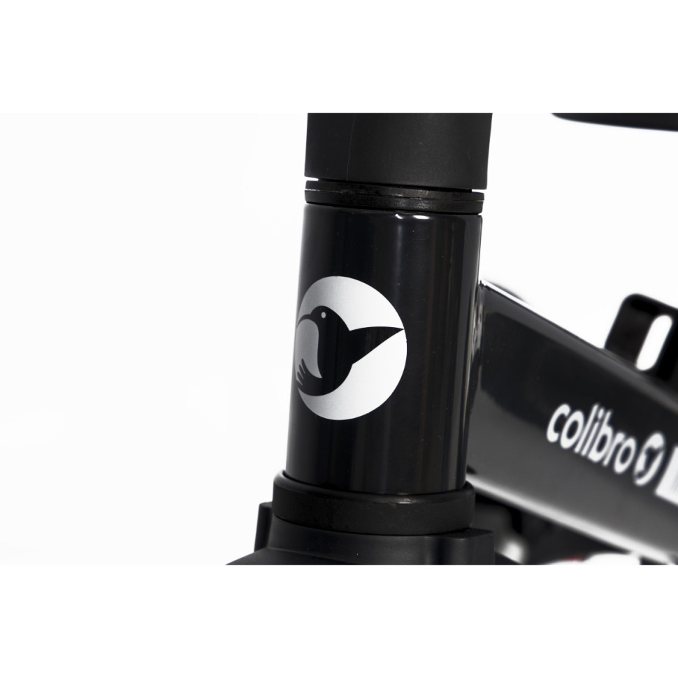 Велосипед дитячий TREMIX Magnetic Colibro CT-42-03 до 25 кг
