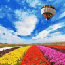 Картина за номерами. Rainbow Art "Політ над тюльпанами" GX34021-RA 