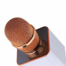 Мікрофон для караоке Q9 