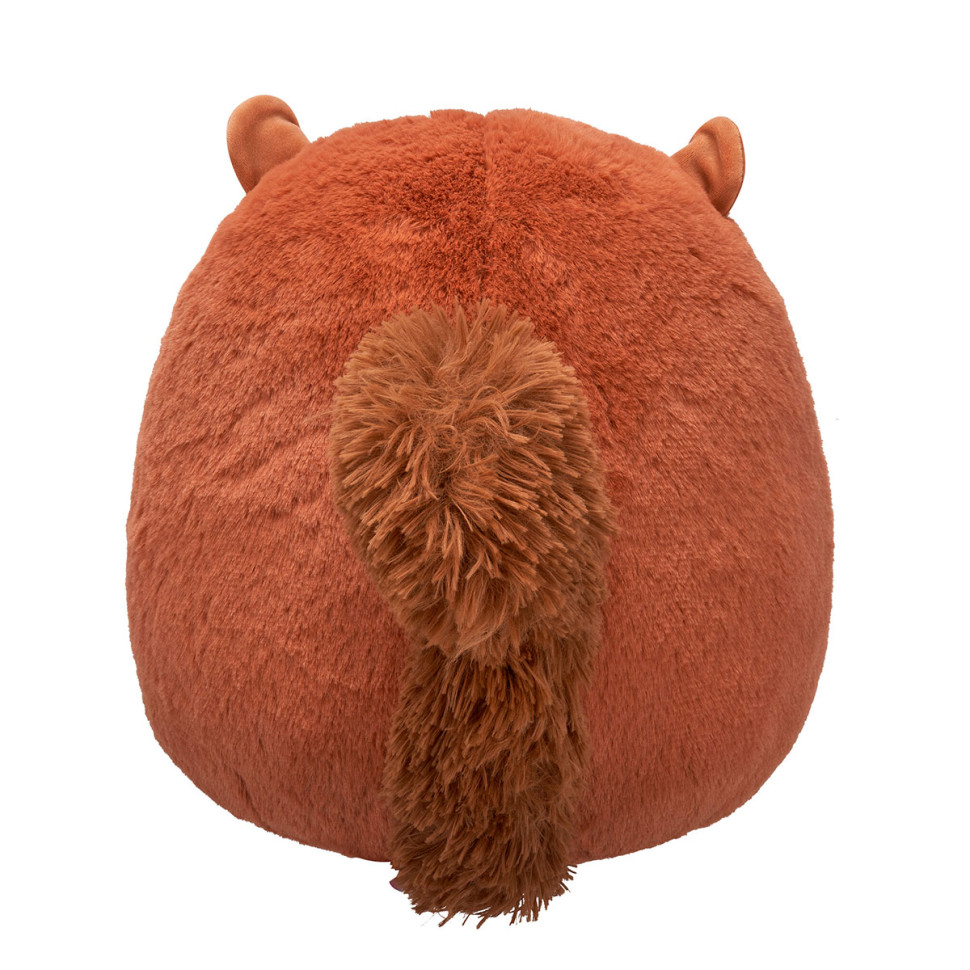 М'яка іграшка Білка Сойєр Squishmallows SQCR06757, 30 см