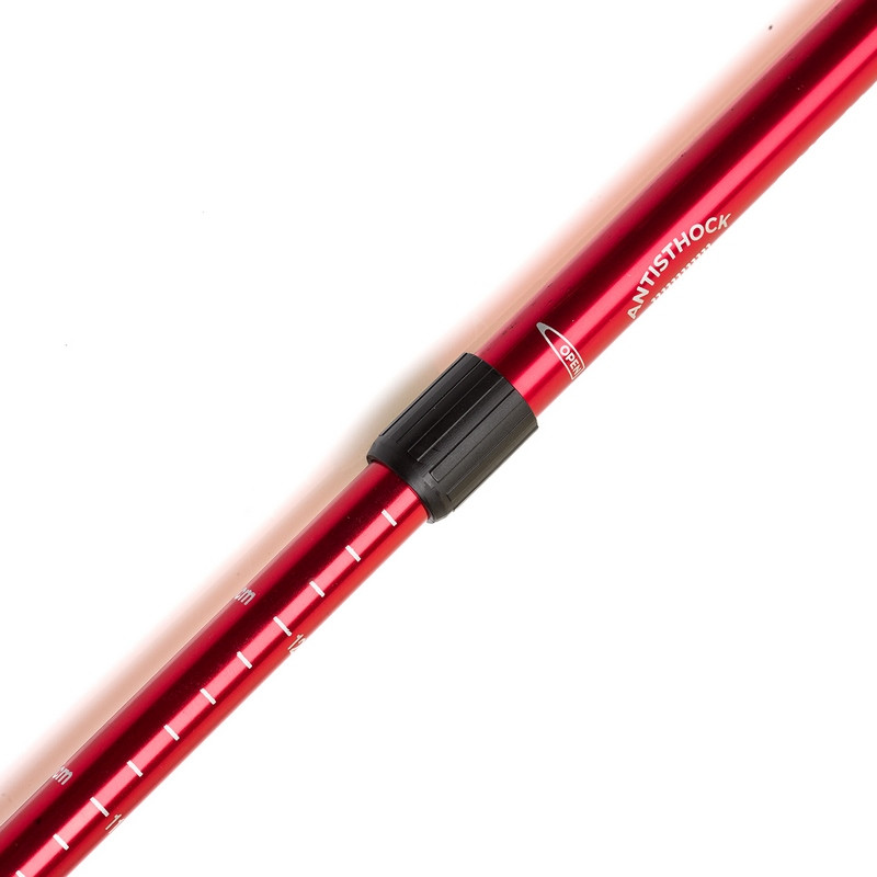 Трекинговые палки с прямой ручкой Gemini Sport TG2019-2RED, красный