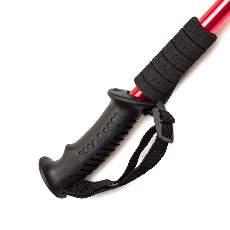 Трекинговые палки с прямой ручкой Gemini Sport TG2019-2RED, красный