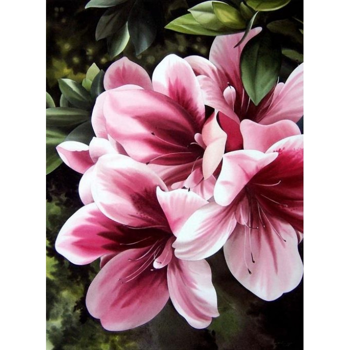 Картина за номерами. Квіти "Рожева лілія" 30*40 KHO2911 по цене 193 грн.