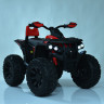 Дитячий електроквадроцикл Bambi Racer M 4795EBLR-3 до 30 кг. 