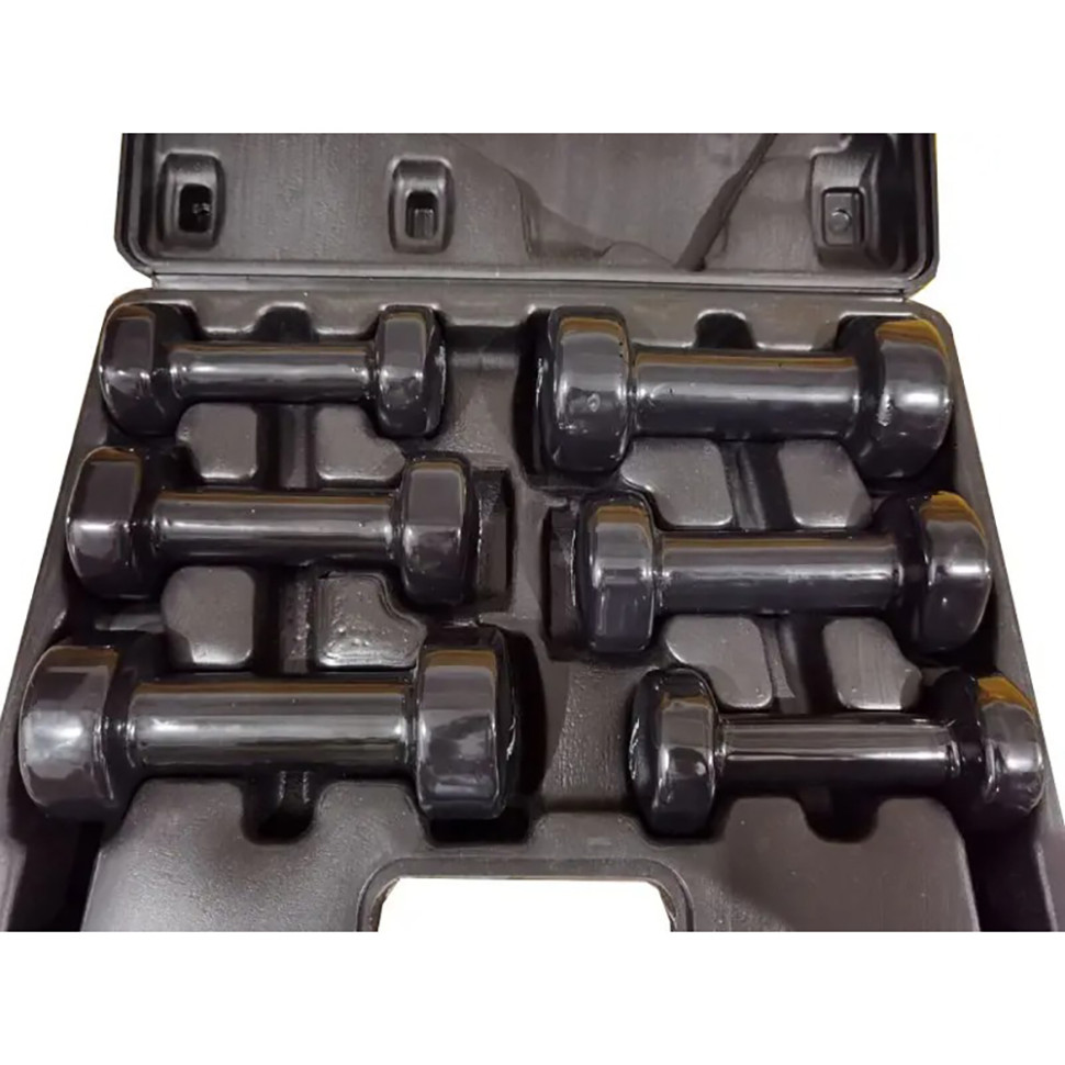 Набір гантелей PowerPlay PP_4121_9kg, 9 кг, в кейсі