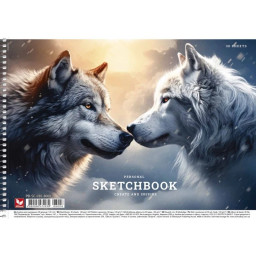 Альбом для рисования Школярик PB-SC-030-8008-2 спираль 30 листов